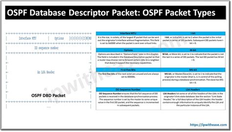 Image result for IP Ospf Database Contents Explained