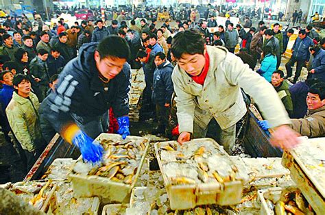 路林市场更名"宁波水产品批发市场" 欲打造宁波渔人码头-宁波频道