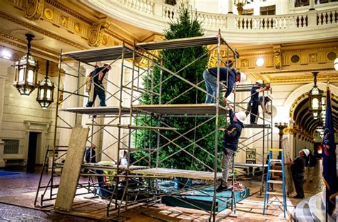 Pa. Capitol Christmas tradition returns with the arrival of a tree in ...