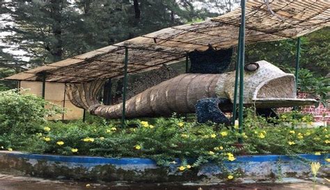 Campal Gardens, Panaji, Goa | WhatsHot Goa