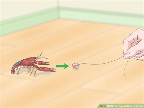 Image result for Crayfish Redstone Tutorial