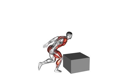Master The Single Leg Box Jump: Video Guide & Tips