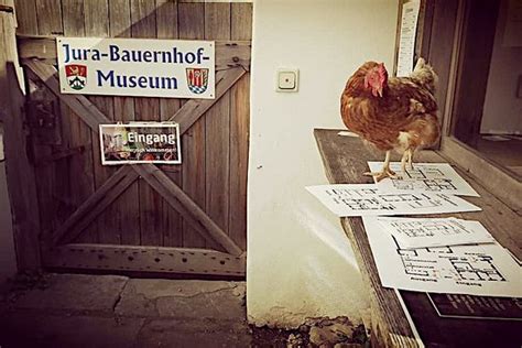 Jura-Bauernhof-Museum - Eichstatt | Tripadvisor