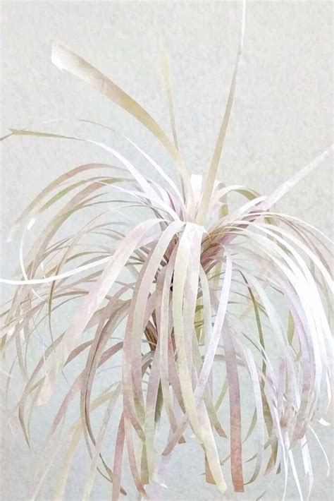 Image result for Paper Leaves Tutorial