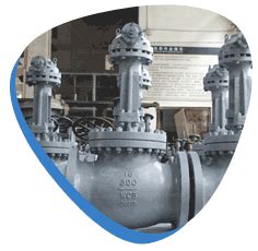 L&T cryogenic globe valve | L&T 304 cryo globe valve distributor