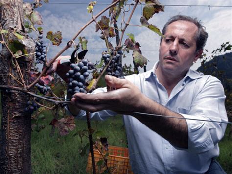 Discovering a truly fascinating wine artisan | Meer