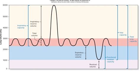 Image result for Spirometry Explained