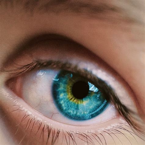 Scientists discover brand new colour 'Olo' | Lifestyle Asia India