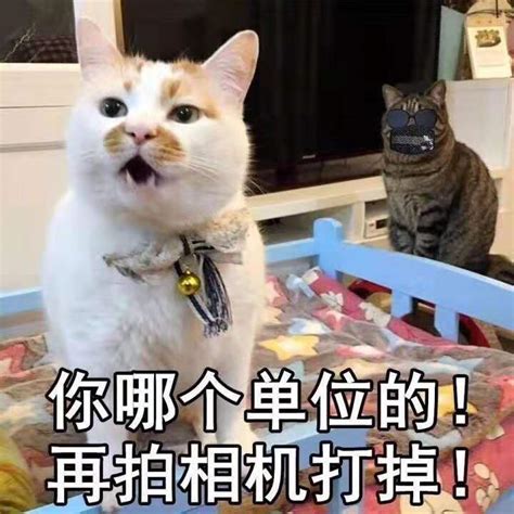 Cellselectioncallbackfunction MATLAB 的图像结果