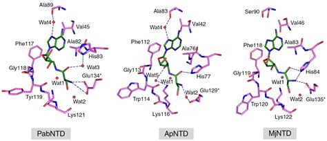 Welcome to Dr. Sankaranarayana Lab