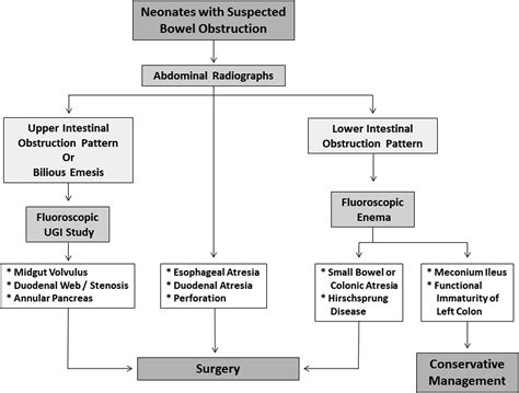 Neonatal and Pediatric Bowel Obstruction | Radiology Key
