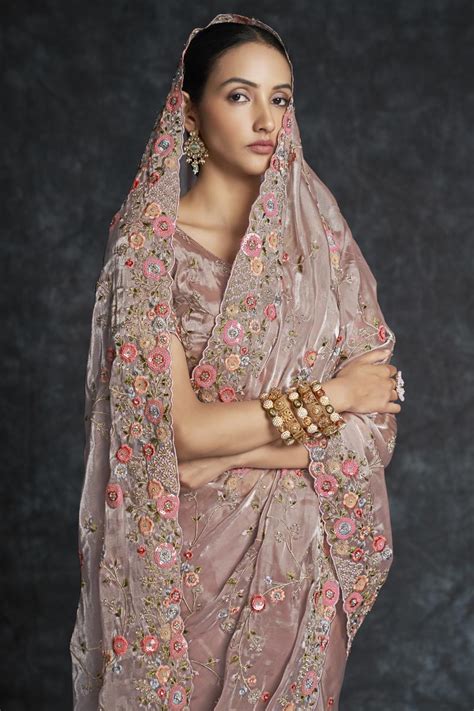 Chikoo Color Designer Embroidered Saree