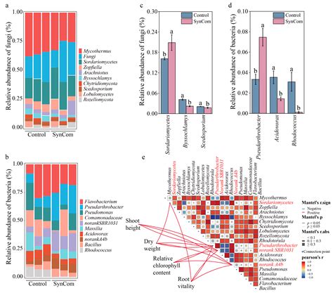 Synthetic Microbial Communities Enhance Pepper Growth and Root ...