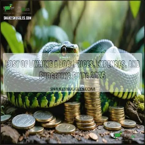 Image result for Boa Constrictor vs Python