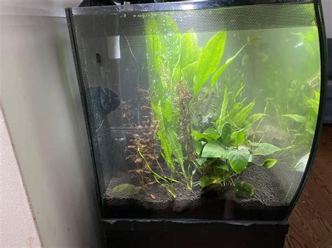 Aquarium Tank Size - Fluval Flex 32.5G - More Fish ? : r/Aquariums
