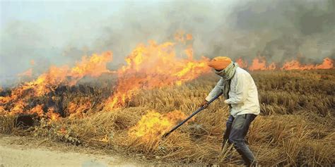 Punjab Government Urges Brick Kiln Owners to Curb Stubble Burning