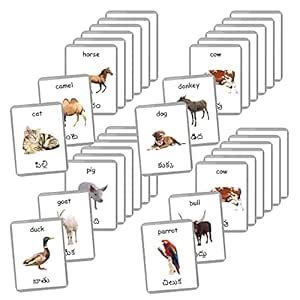 Buy Telugu English Bilingual Flash Cards | Montessori Cards | Laminated ...