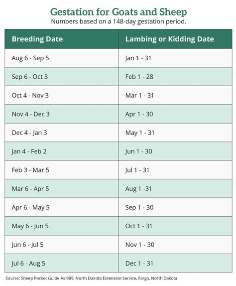 A Guide to Breeding Does and Ewes