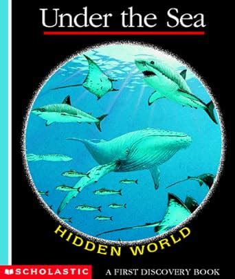 Under the Sea (First Discovery Books) : Delafosse, Claude, Jeunesse ...