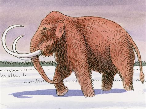 Image result for Extinct Animals Revival