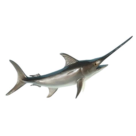 Pelagic Fishes - Sword | hookcatch