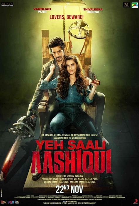 Yeh Saali Aashiqui: Box Office, Budget, Hit or Flop, Predictions ...