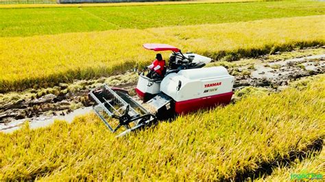 Irrigation Management and Smart Farming With Modern Machines, World ...