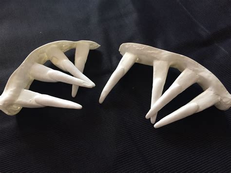 Alien 3 Queen 的图像结果