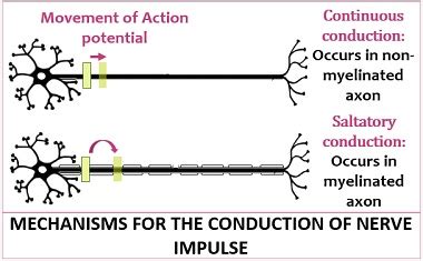 Continuous Conduction 的图像结果