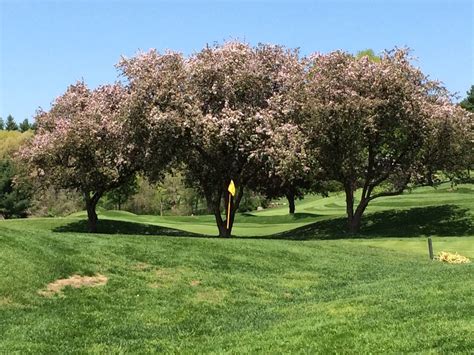 Pine Brook Country Club | All Square Golf