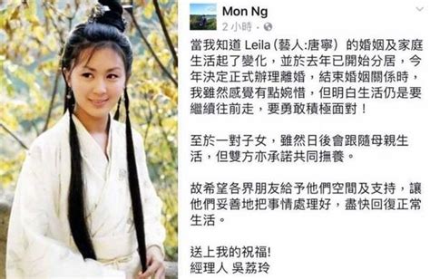 香港女星唐宁与老公正式离婚，两个孩子跟随妈妈生活！_明星那些事_天津热线