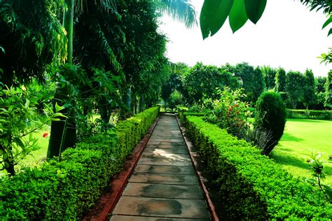 Photo Gallery - Moti Bagh Resort, Ranthambore