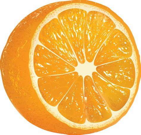 Download Orange | Oranges PNG Image for Free
