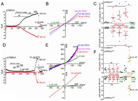 Potent Activation of Human but Not Mouse TRPA1 by JT010