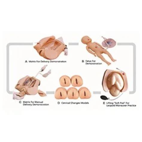 Advanced Abdominal Palpation and Delivery Mechanism Simulator – Parth Sales Corporation