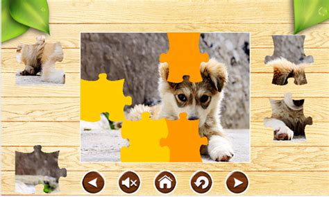 Image result for PC Puzzle Software