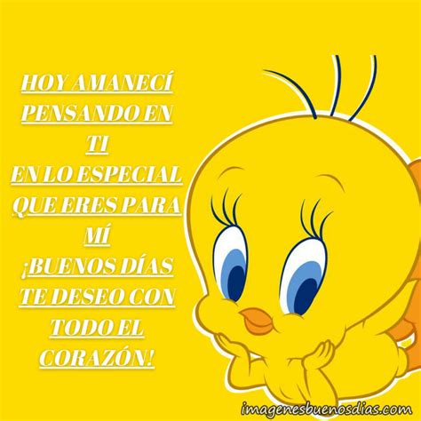 Piolin buenos dias frases » Imágenes Buenos Días