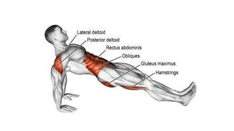 Plank Exercises: Complete Workout Guide To Build Strong Core