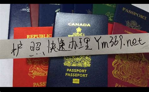 海外中国公民护照政策最新调整_旅泊网