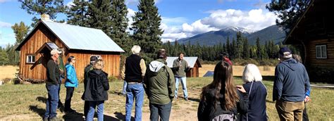 Image result for Bear Program