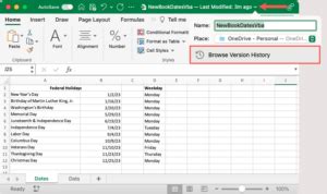 Image result for How to View Version History Excel