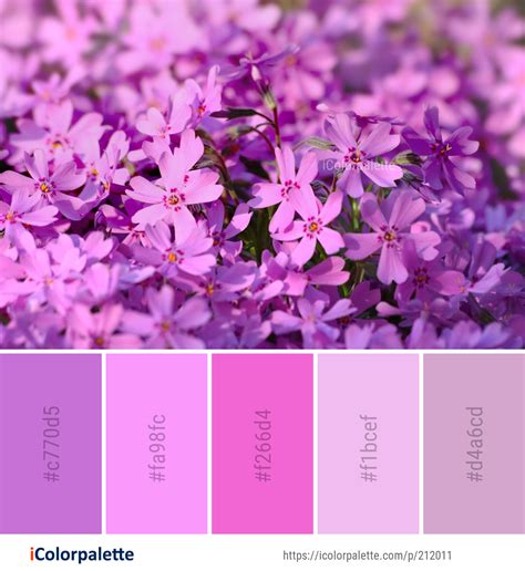 What Is A Purple Pink Color Called at Nadine Boeding blog