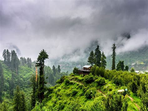 Places in India that turn beautifully green during monsoons | Times of ...
