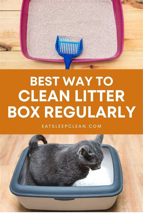 Image result for Clean Cat Litter Box