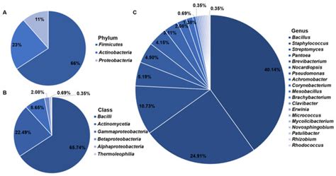 Diversity and Biocontrol Potential of Cultivable Endophytic Bacteria ...
