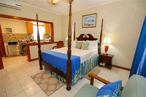 Image result for standard studio