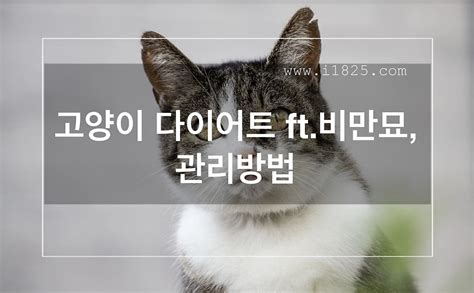Image result for Arduino Robotic Arm Projects