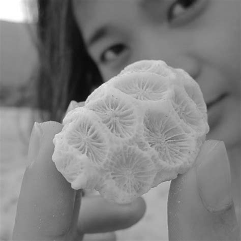 Theresa Lynn Wood: A Comprehensive Exploration Of Her Life, Career, And ...