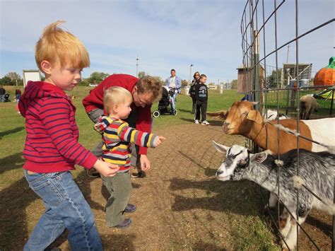 Fall Season Activities | Country Sun | St. Paul