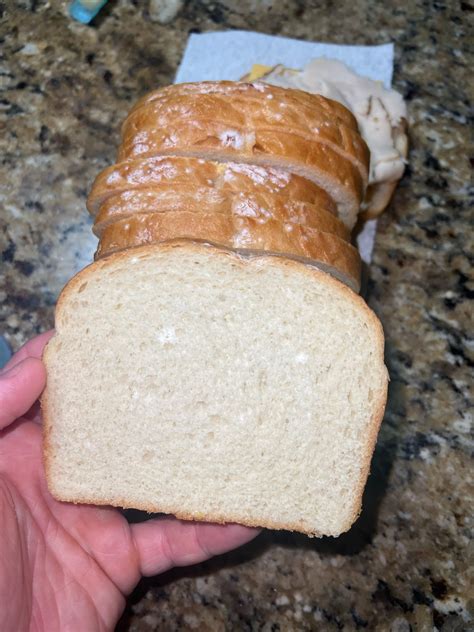 Moldy White Bread